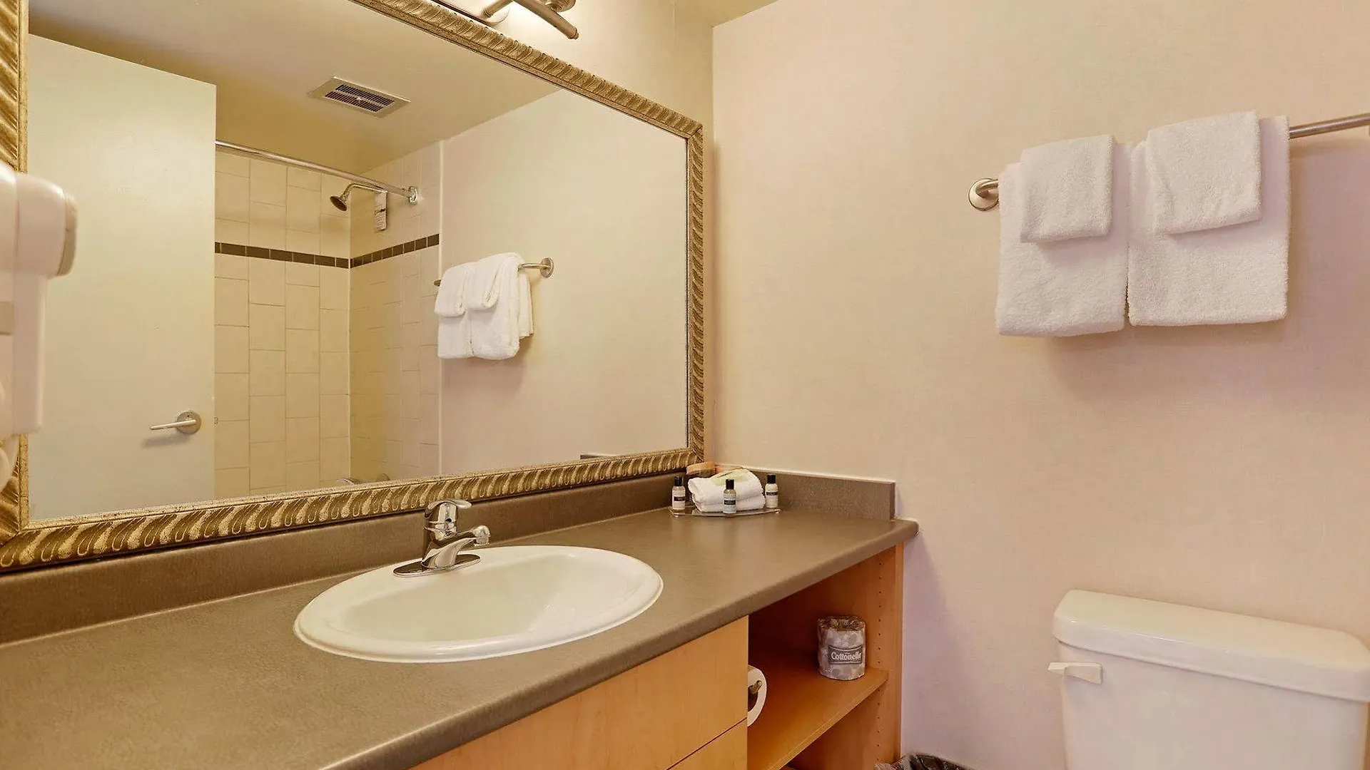 Sandman Suites Vancouver On Davie מלון